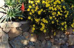 Villa individuelle avec jardin - Foto 19