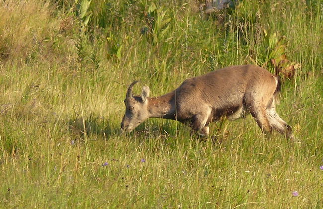 Spacious, Inviting Apartment Near Fussen in the Allgau Region in Bavaria - Foto 19