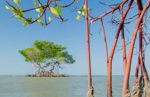 La casita tropical - Foto 16