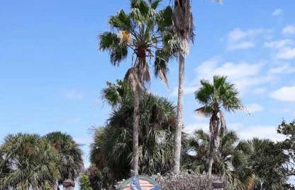 Oasis Family Getaway St Petersburg - Foto 62