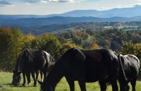 Domek DOMiarki - Foto 21