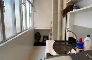 Studio no Edifício Everest lindíssimo a somente 200 mts praia excelente localização - Foto 13