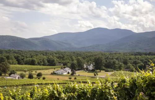 Wintergreen Ridge Retreat - Family Home - Foto 39