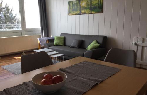 FERIENWOHNUNG FORSTPANORAMA - Foto 13