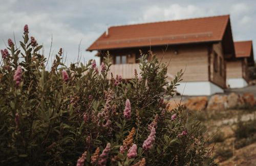 Oberwald Chalets 1 - Foto 1