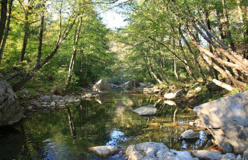 Podere Piandicava - Foto 50