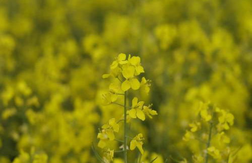 Wohnung in Pepelow in Meeresn he - Foto 27