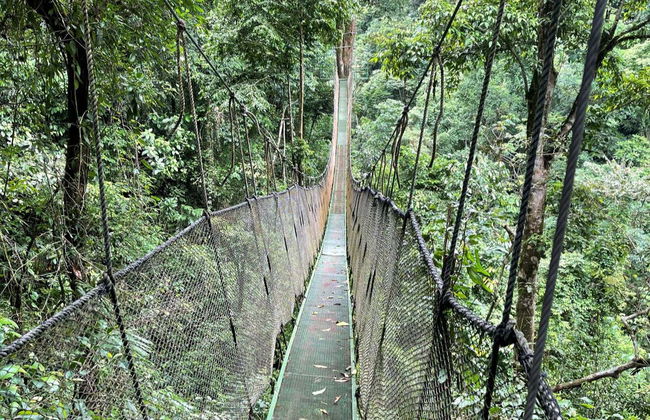 Trilha pela reserva Rainmaker - Foto 6