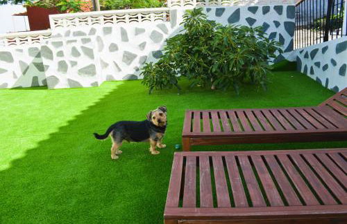 Vv Casa Mercedes puesta de sol WiFi garantizada - Photo 18