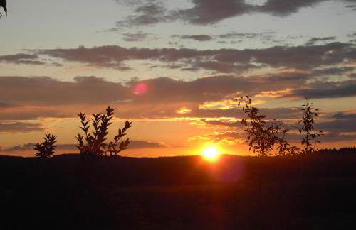 Panorama Ferienwohnungen Thiem - Foto 27