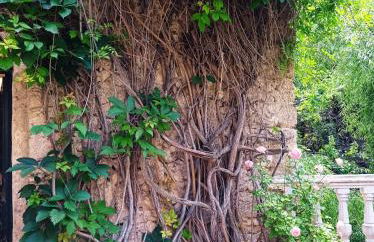 Los Caños de La Casa Viva - Foto 13