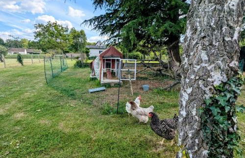 Charme rural et détente près des châteaux de la Loire - FR-1-591-738 - Foto 28