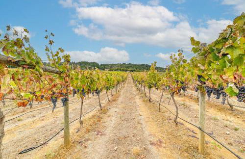 Romantic Vineyard Getaway in Oakland Mtn Views! - Foto 24