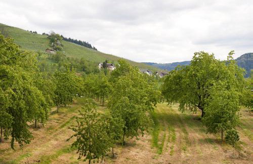 Dasensteinblick - Foto 21