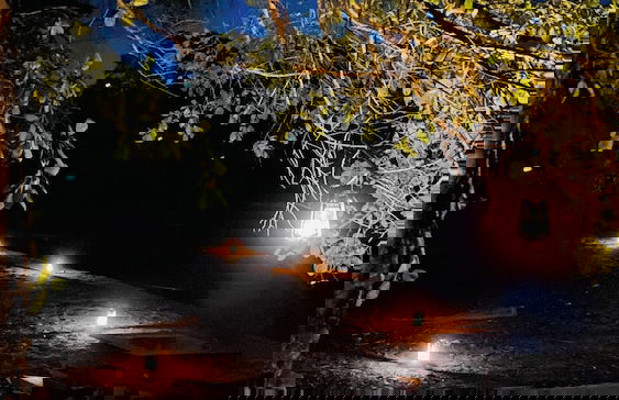 River Paradise Safari House with Cooking Class - Photo 24