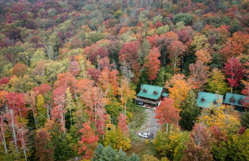 Leaf Peeper's - HUGE deck, pizza oven, Pac-man! - Photo 27