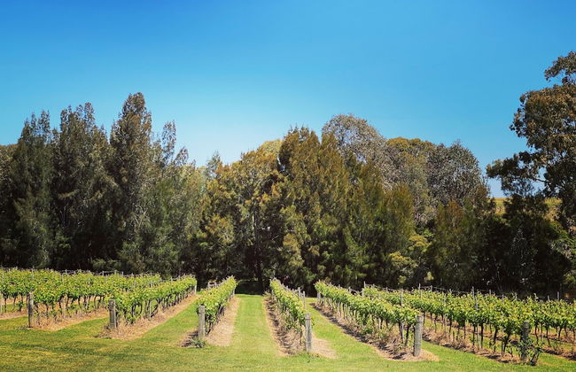 McCaffrey's Estate - Photo 27