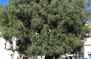 A casa Rosa- Ático en el centro de Vigo - Foto 21