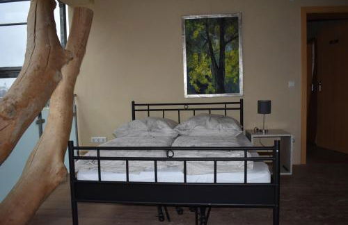 Palmengarten - Foto 5