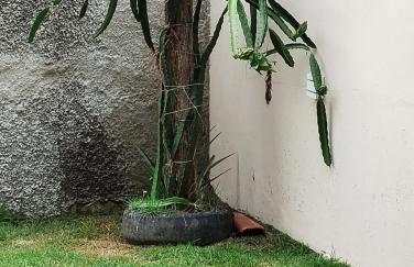 Casa de praia para temporada espaço inteiro Putiri ES - Photo 28