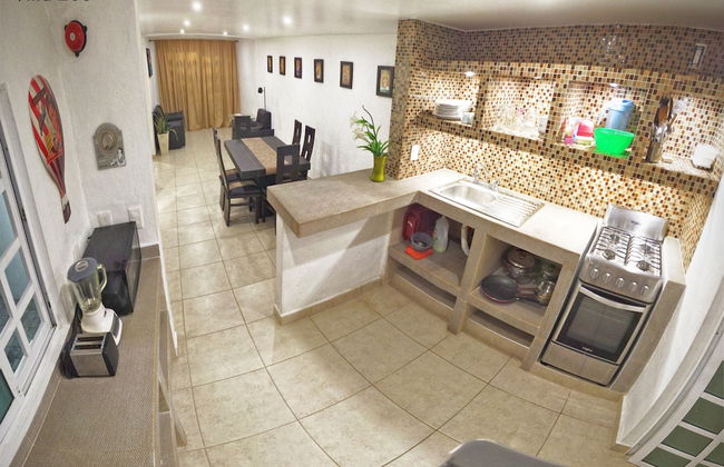 HominngBird - Foto 41