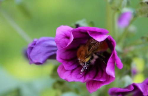 Agritur Agrihouse - Foto 26