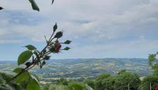 Agriturismo Il Truffarello TODI - Foto 3