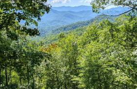 Mountain Heaven - Foto 67