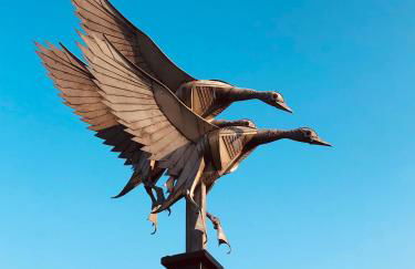 6 Wye Valley Chambers - Area of Outstanding Natural Beauty - Parking Space & Dog Friendly - Photo 32