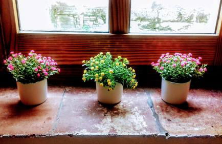 Casa Julián Fábrica Giner - Foto 17