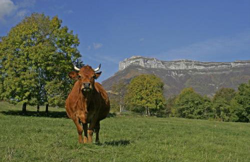 Madame Vacances Les Chalets Du Berger - Foto 31