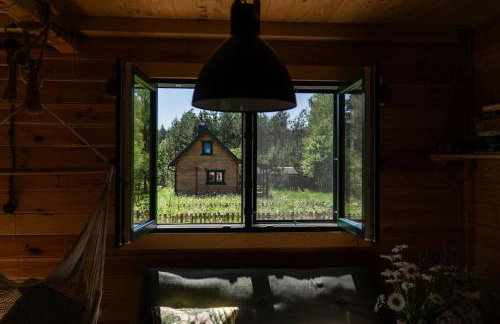 Głuszecki las - Foto 13