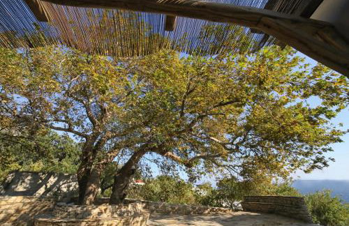 Ικαριων Γη - Photo 28