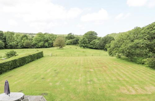 Plas Pontfaen - Foto 3