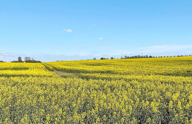 4 Star Holiday Home in Bastad-by Traum - Foto 13