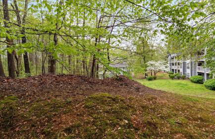 Landing Spectacular 1BD Gym Pool - Photo 17