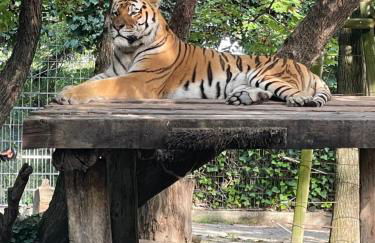 LunaSole Casa vacanza mare - Photo 57