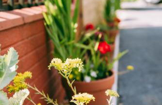 New Inn Lodge - Foto 18