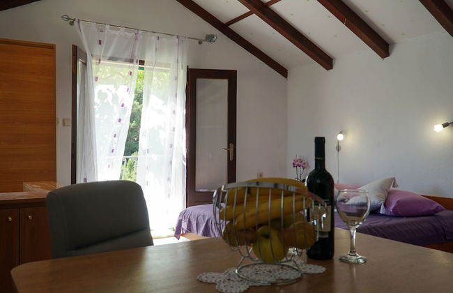 Studio Apartment Slivje - Foto 4