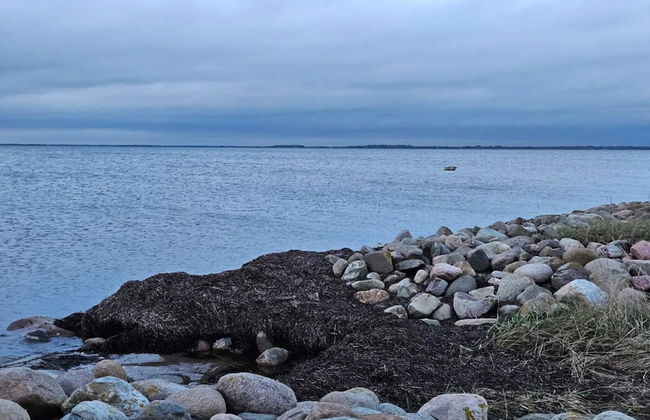 Modern Retreat in Klitgards-by Traum - Foto 29