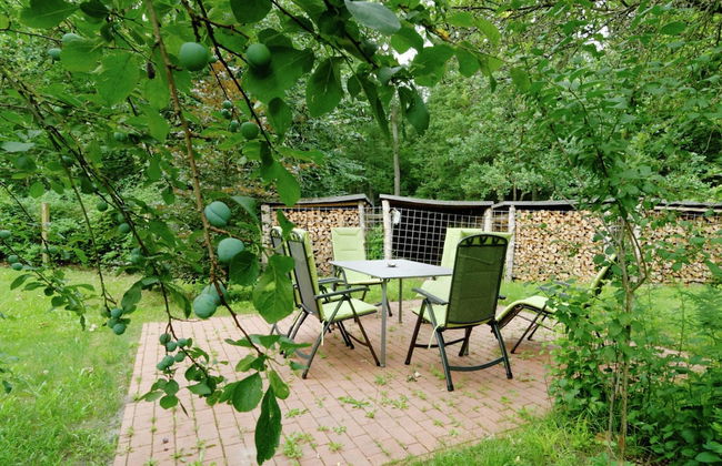Flat in Furstenwald Near Berlin Forest - Photo 19