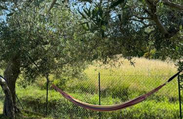 Le Coccole Del Trasimeno - Foto 28