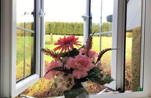 Meadow Sweet Cottage - Photo 28