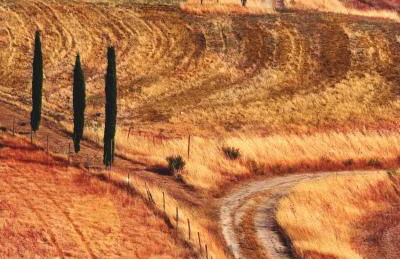 Cozy House in Caprese Michelangelo + Pool - Foto 20