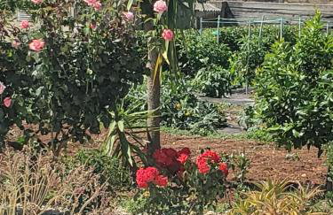 Apartmani Čiklić - Photo 36