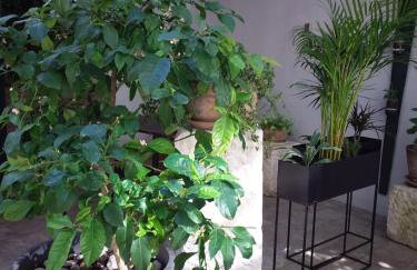 Apartments Oaza - Photo 26