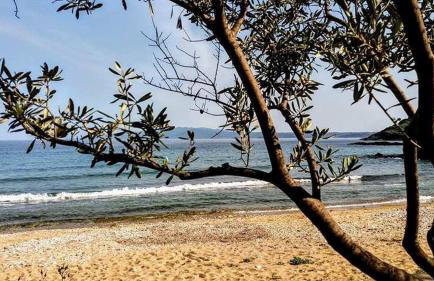 House Kokkalas on the beach - Photo 15