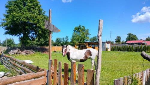 Pokoje Gościnne Danusia - Foto 3