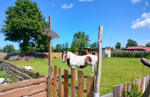 Pokoje Gościnne Danusia - Foto 3