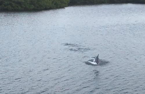 The Artful Nook - Foto 3